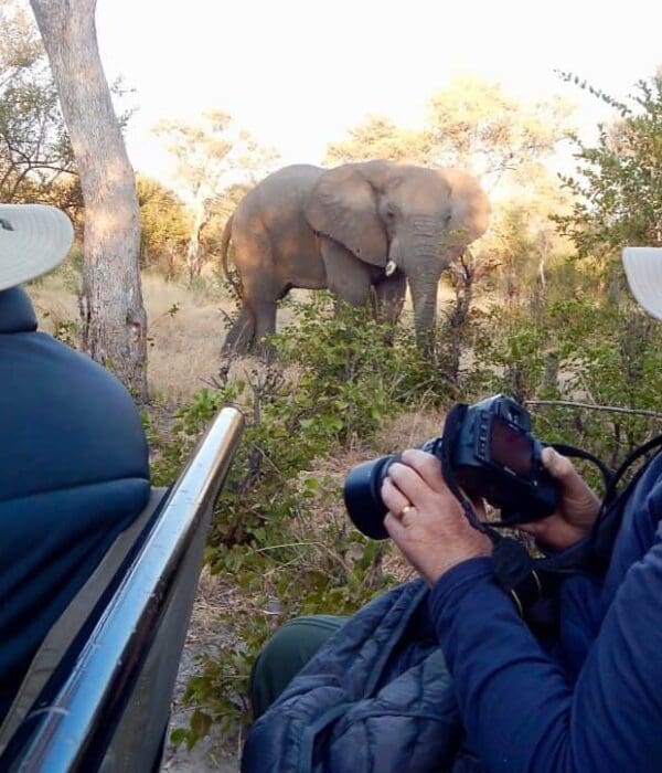 safari in Africa