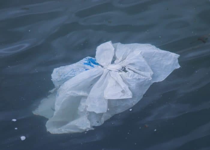 single use plastic bags