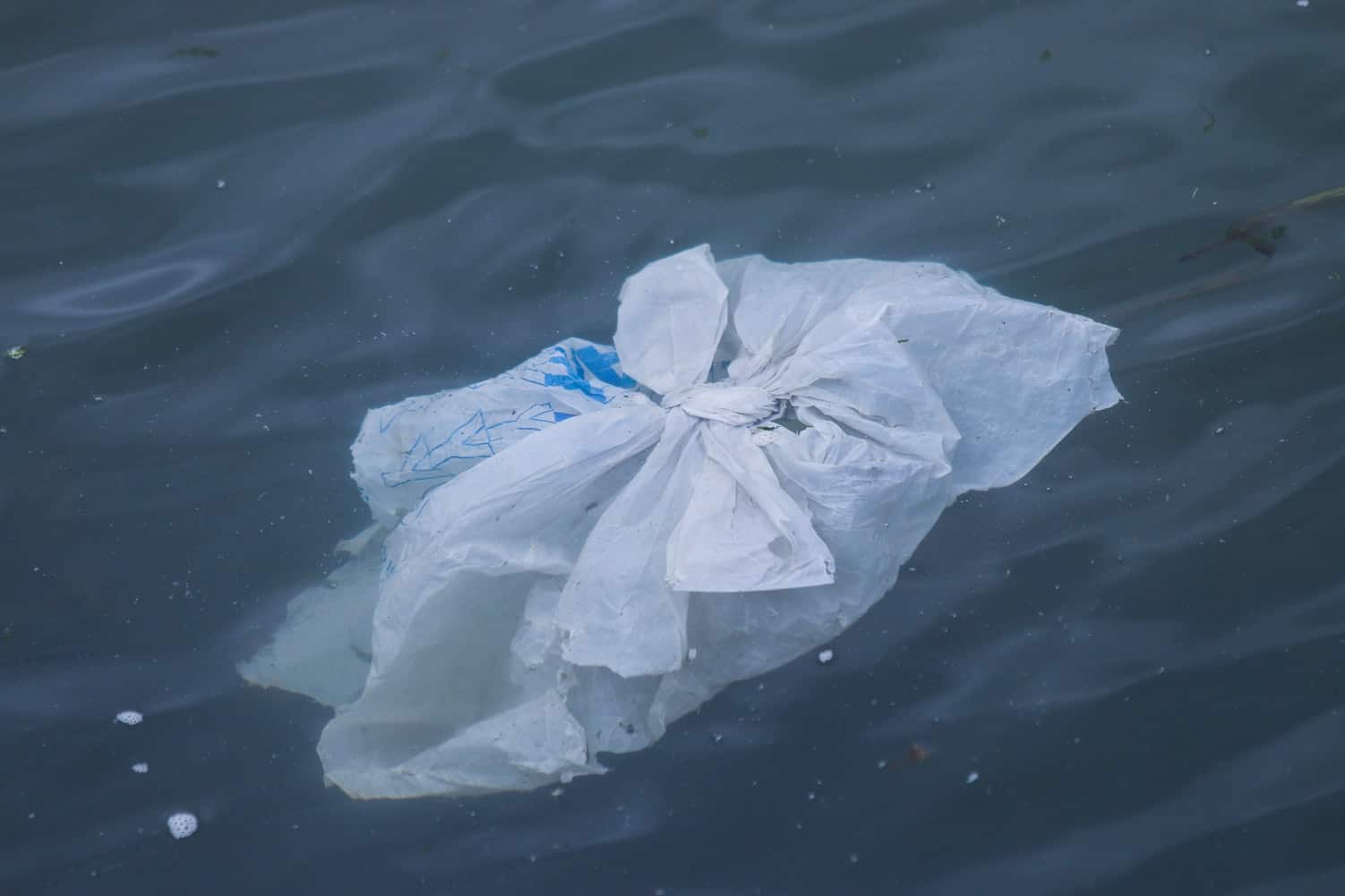 single use plastic bags