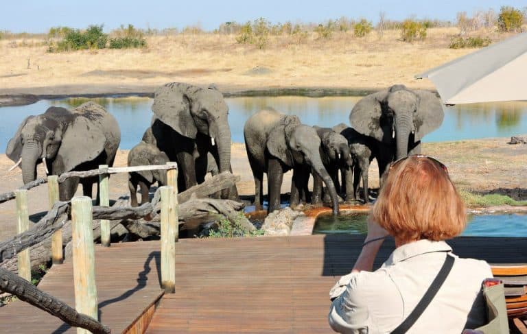 Karen with elephants