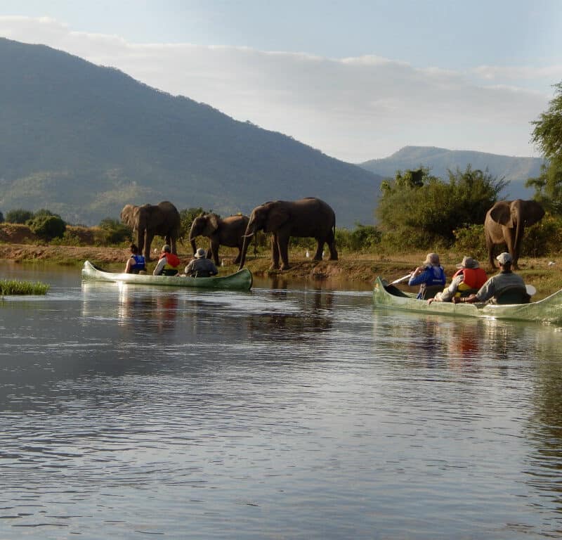 canoeing with elephants Zambia