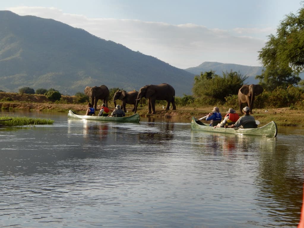canoeing with elephants Zambia