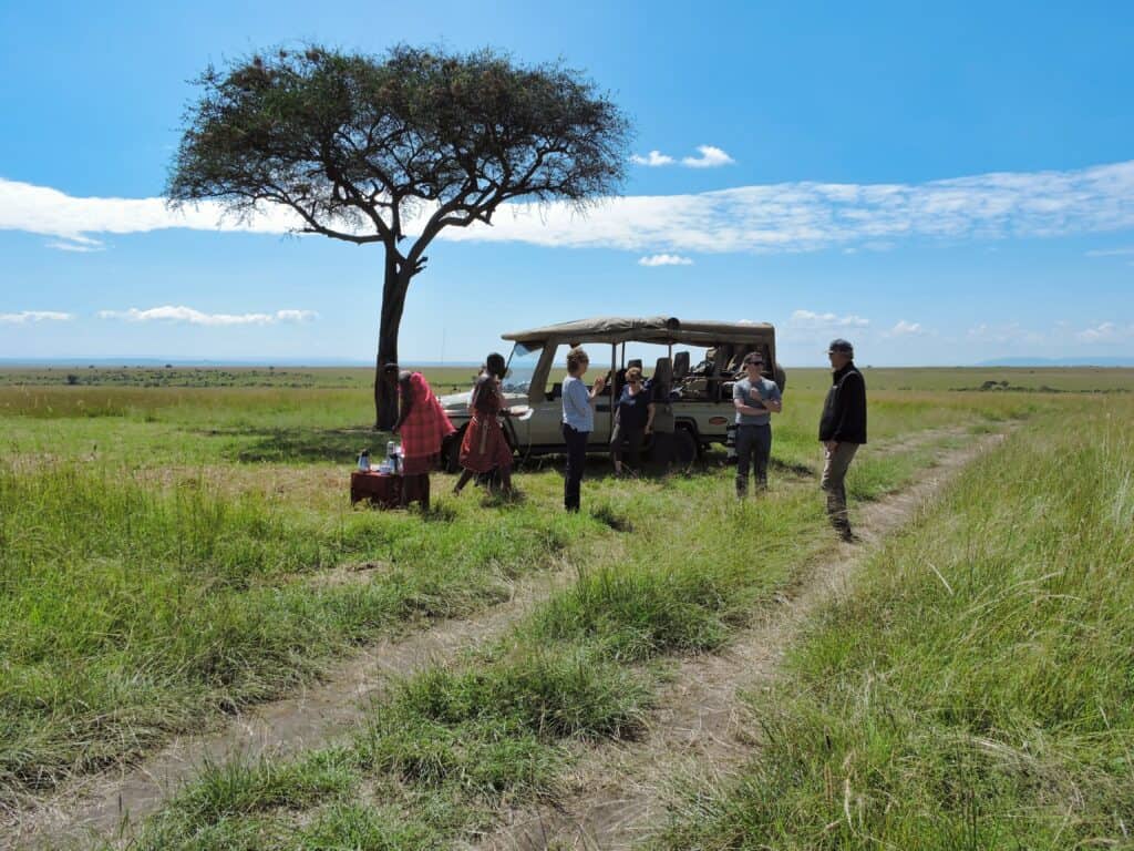 wide open spaces for post-pandemic travel