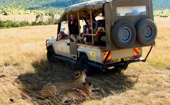 lions and vehicle Kenya