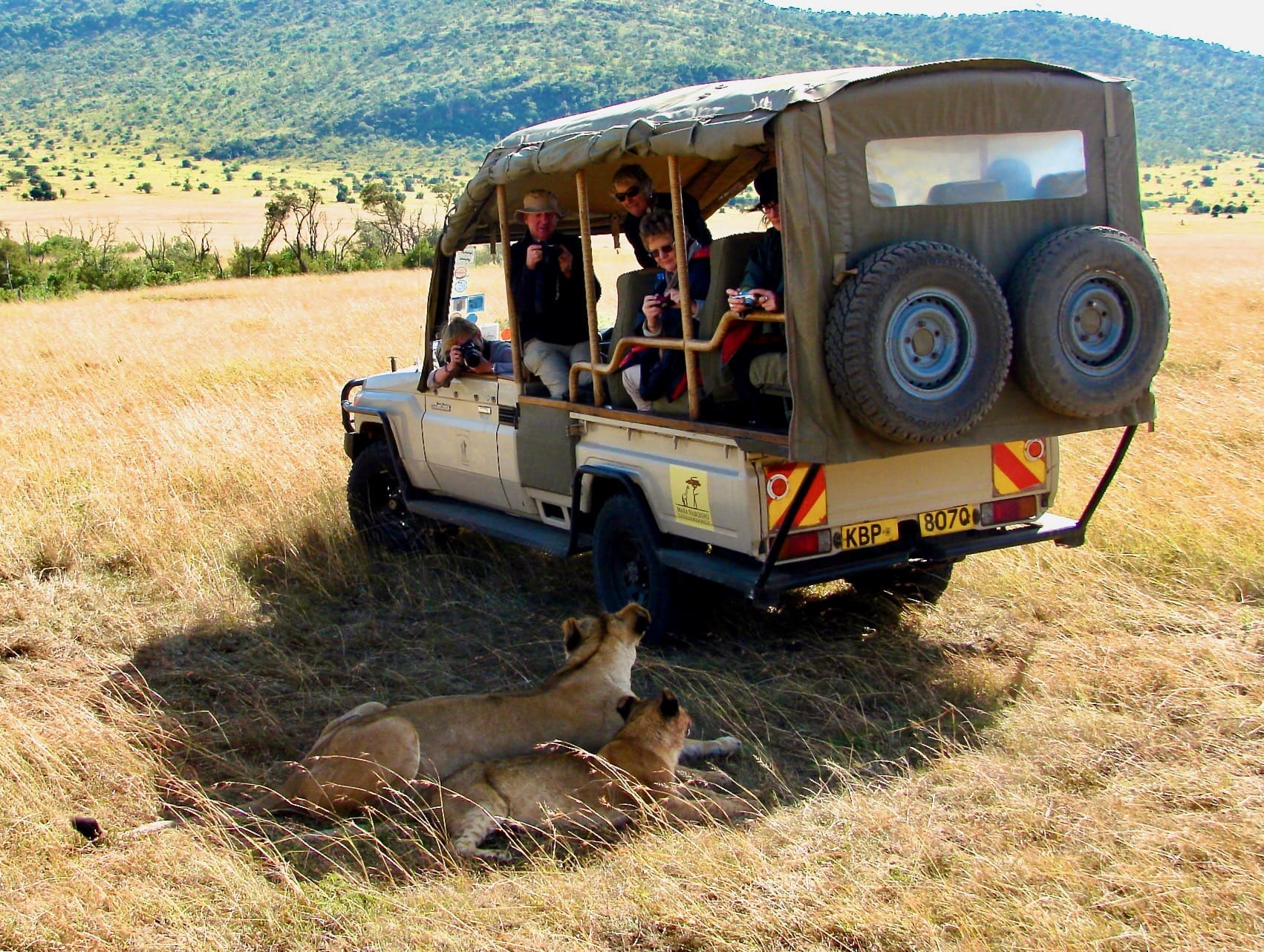 lions and vehicle Kenya