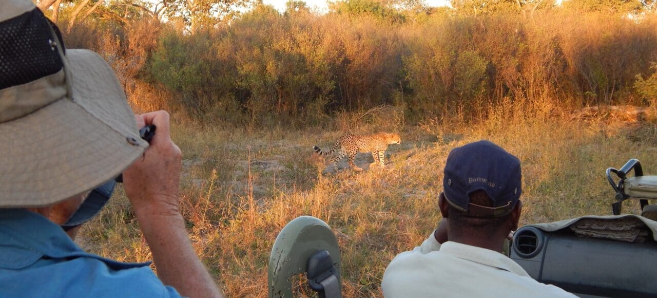 botswana mobile safari