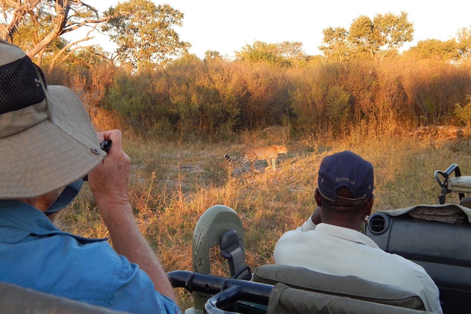 botswana mobile safari