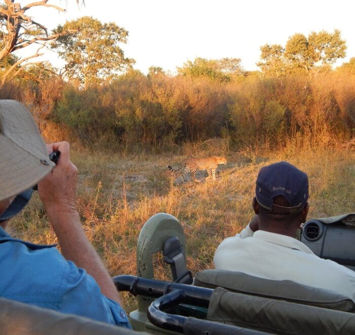 botswana mobile safari