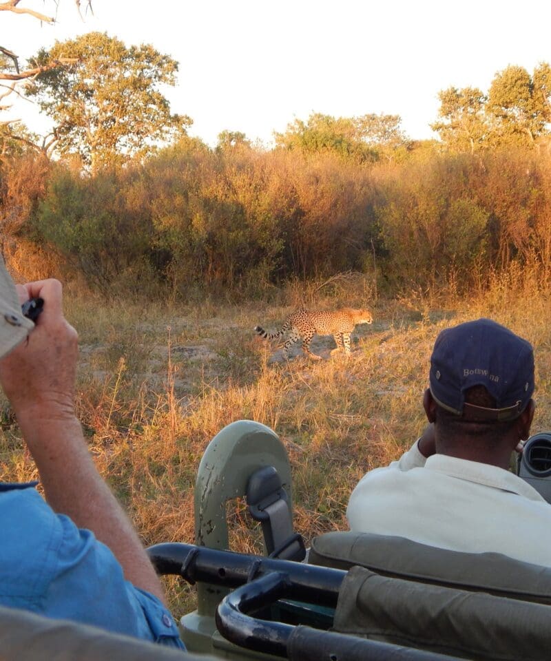 botswana mobile safari