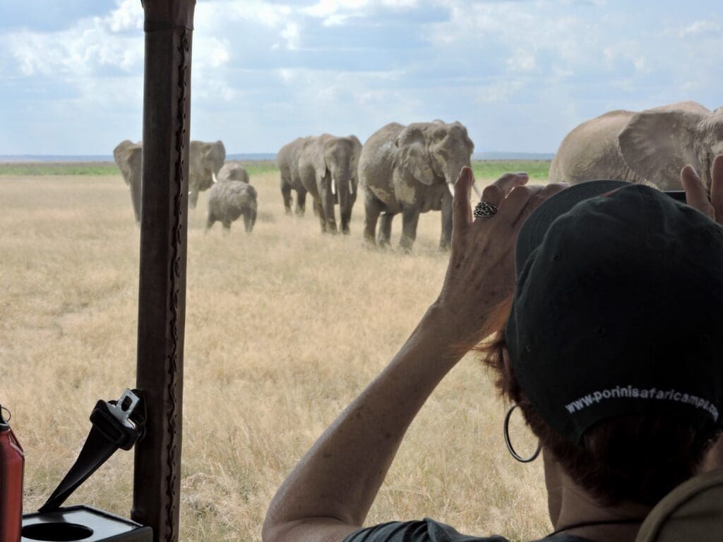 elephants approaching vehicle Kenya