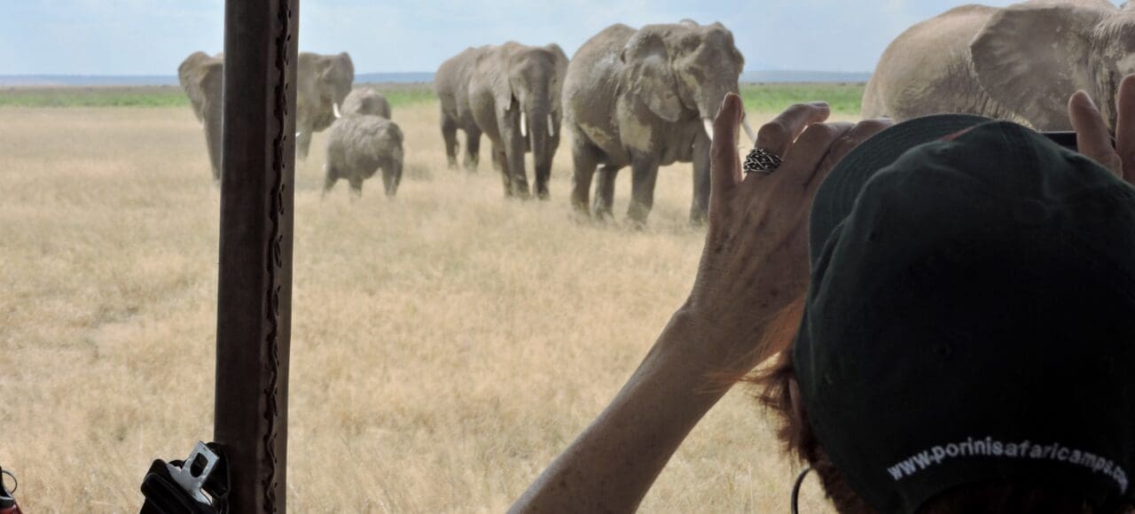 elephants approaching vehicle Kenya