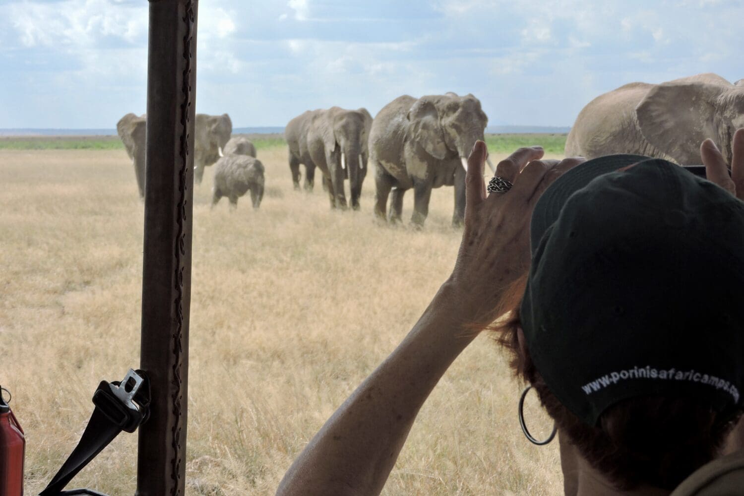 elephants approaching vehicle Kenya