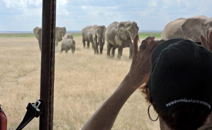 elephants approaching vehicle Kenya