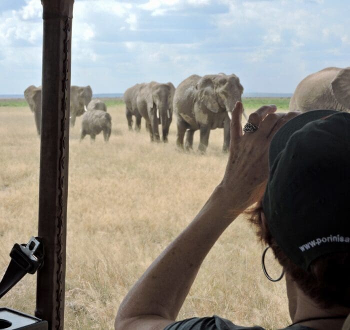 elephants approaching vehicle Kenya